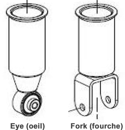 fork-eye.jpg