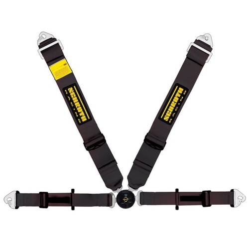pol_pl_Pasy-Schroth-Profi-II-asm-Flexi-Belt-8290_2.jpg