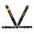 pol_pl_Pasy-Schroth-Profi-II-asm-Flexi-Belt-8290_2.jpg