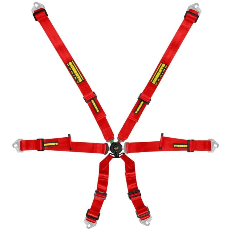 pol_pl_Pasy-Schroth-Profi-2x2-8000_2.jpg