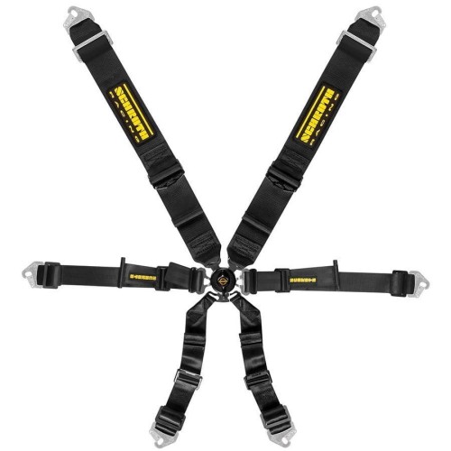 pol_pl_Pasy-Schroth-Profi-3x2-Pull-Down-8295_1.jpg