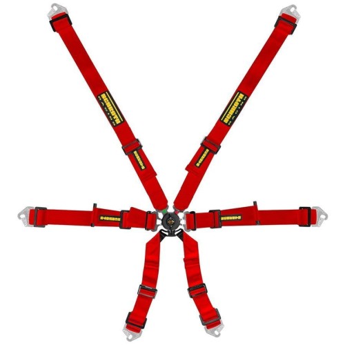 pol_pl_Pasy-Schroth-Flexi-2x2-8298_2.jpg