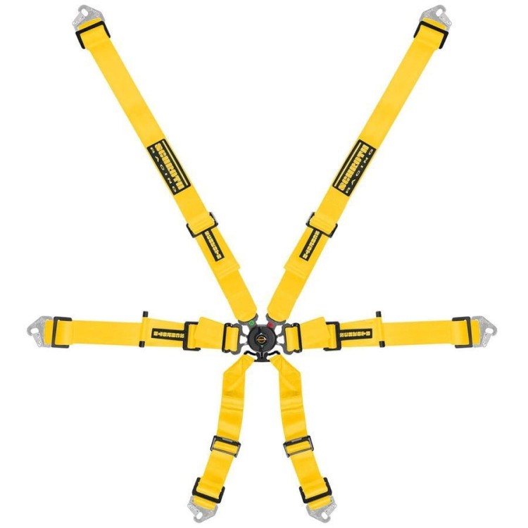 pol_pl_Pasy-Schroth-Flexi-2x2-8298_4.jpg